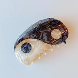 Yin Yang Hair Claw